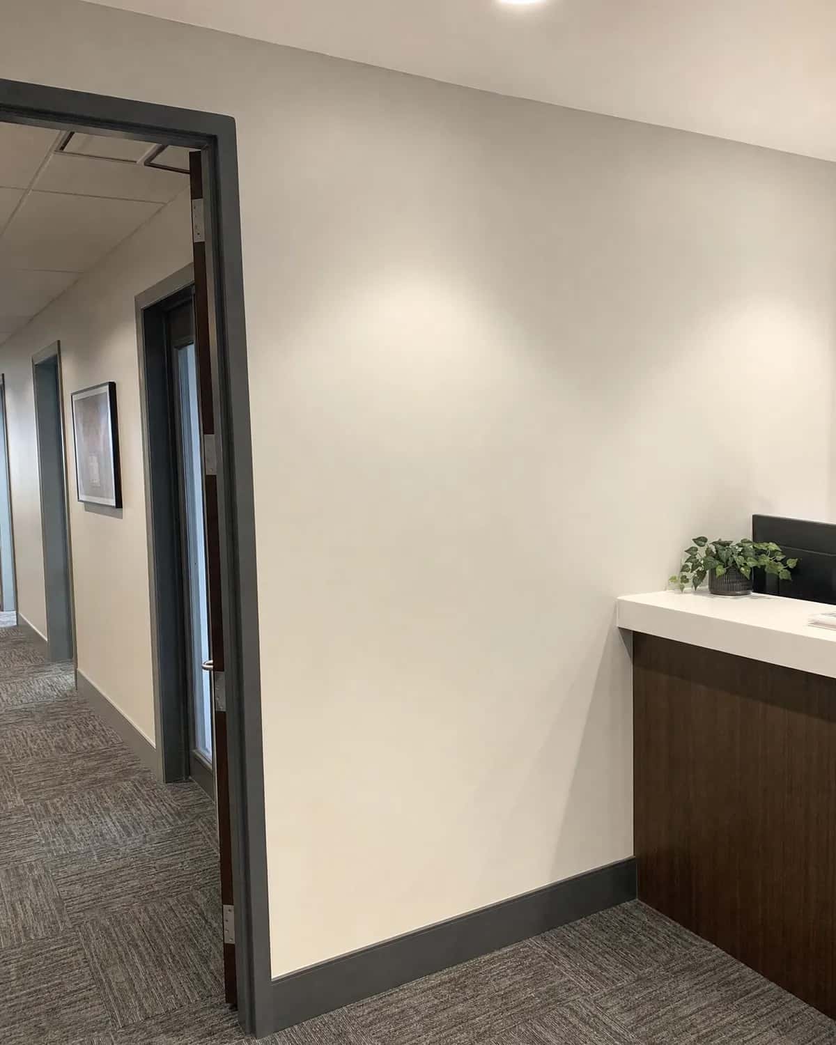 Completed commercial interior with flawless low-sheen painted walls and clean enamel door frame
